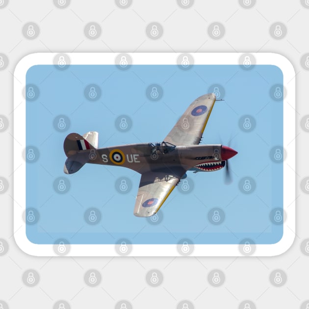 P-40 Warhawk Sticker by acefox1